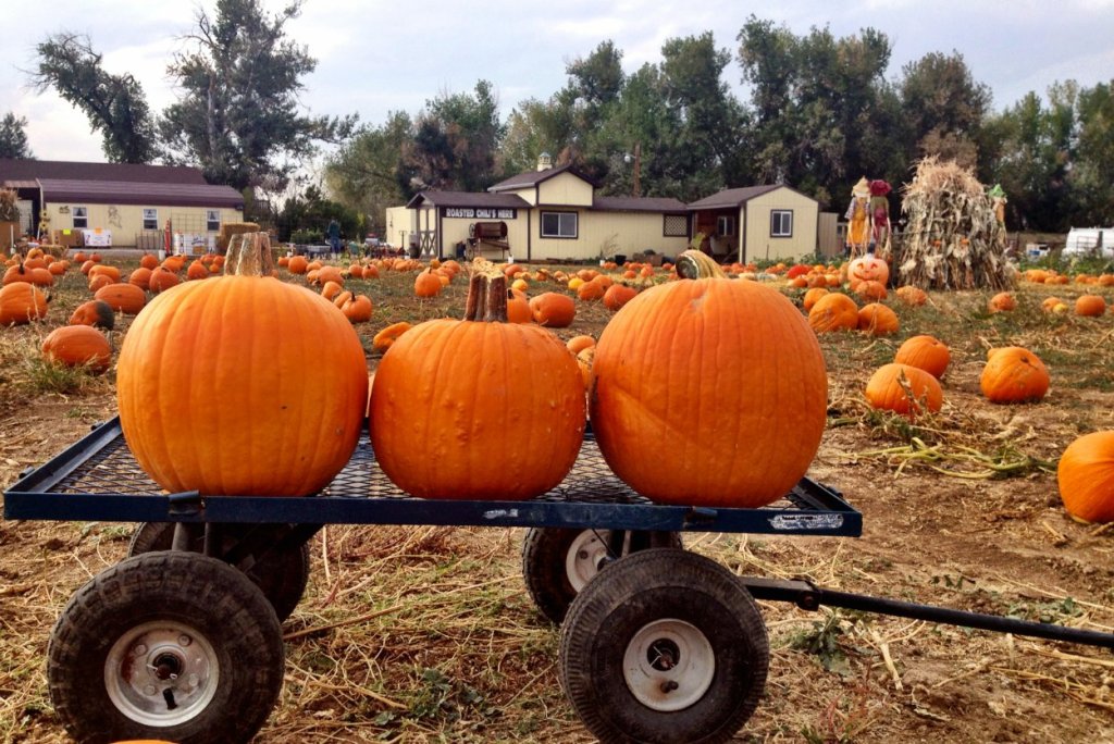 10.27_pumpkin-palooza