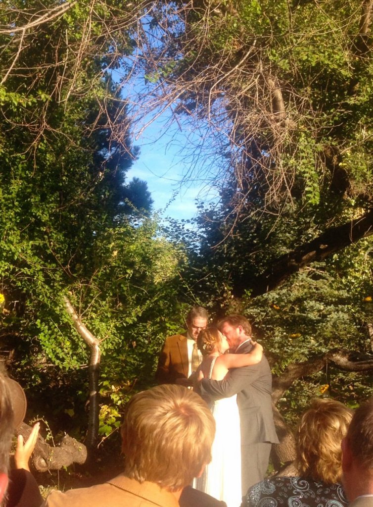 11.8_wedding-season9