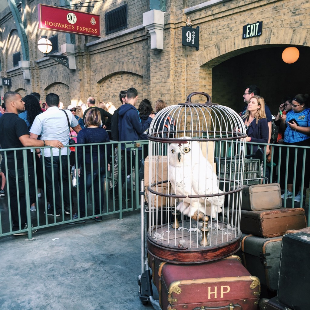 platform 9 3/4
