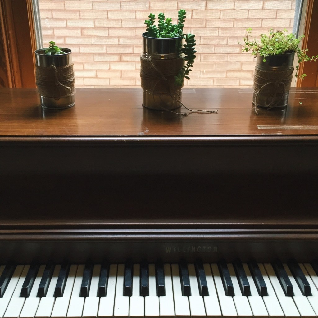 piano owners