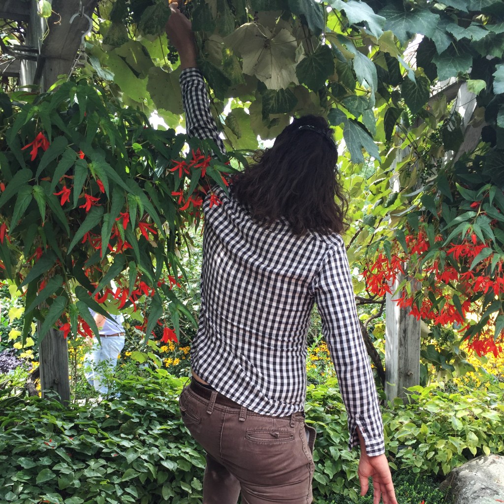 coastal maine botanic gardens