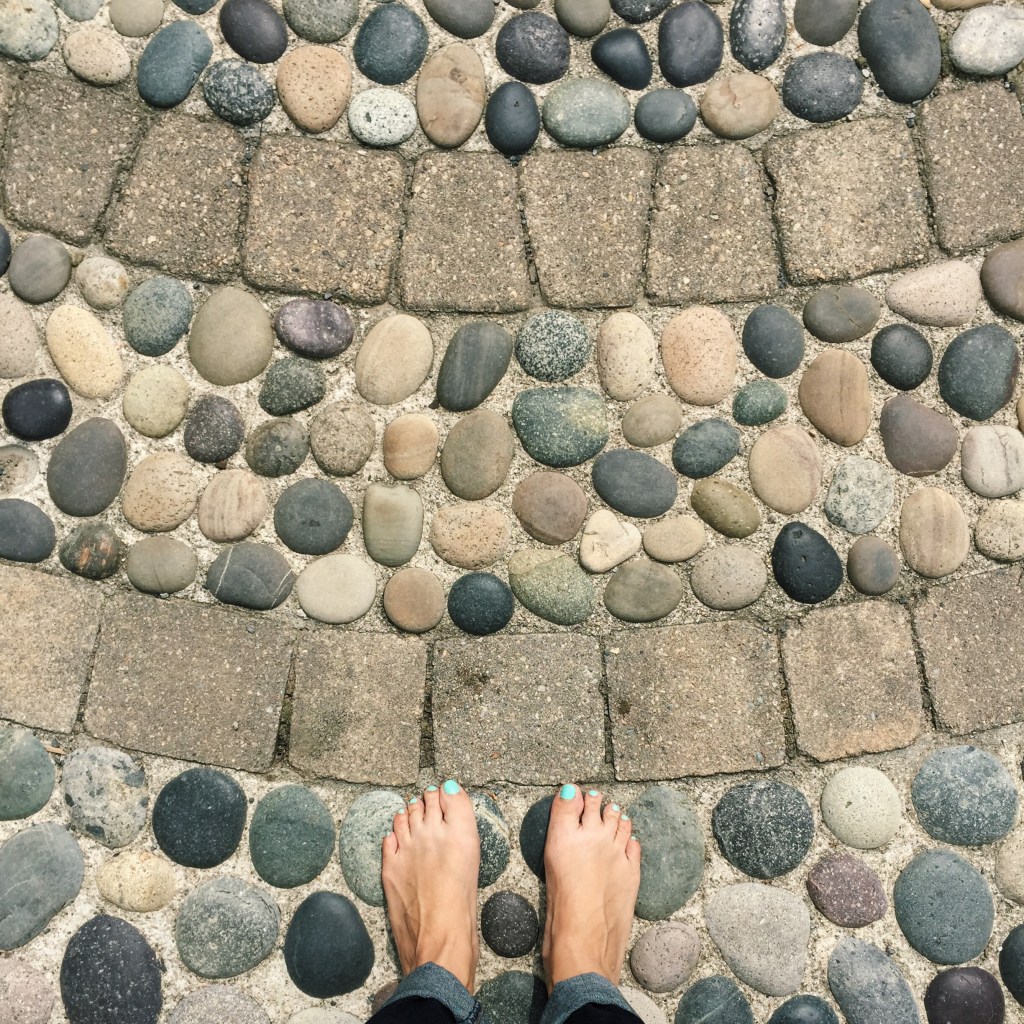 coastal maine botanic gardens