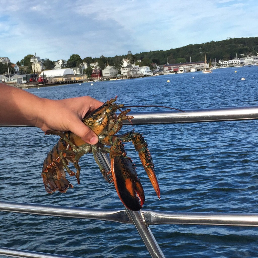 boothbay harbor