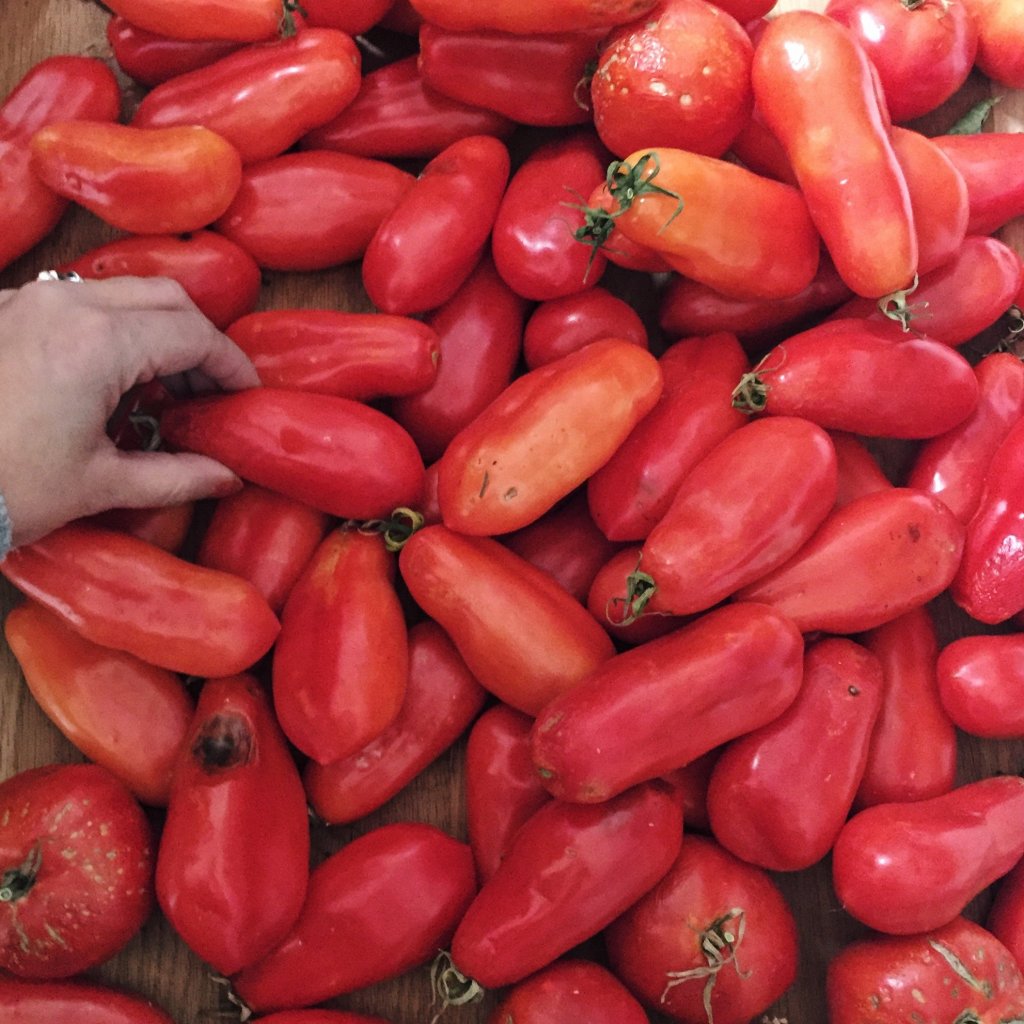 comfort and tomatoes