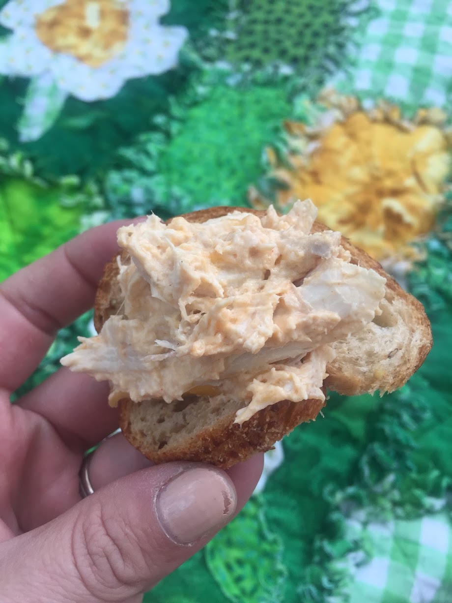 buffalo chicken dip2