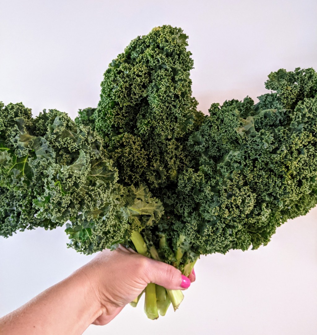 picky eaters and kale&nbsp;chips